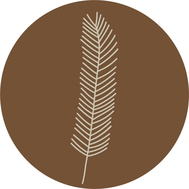 floral icons for social media stories