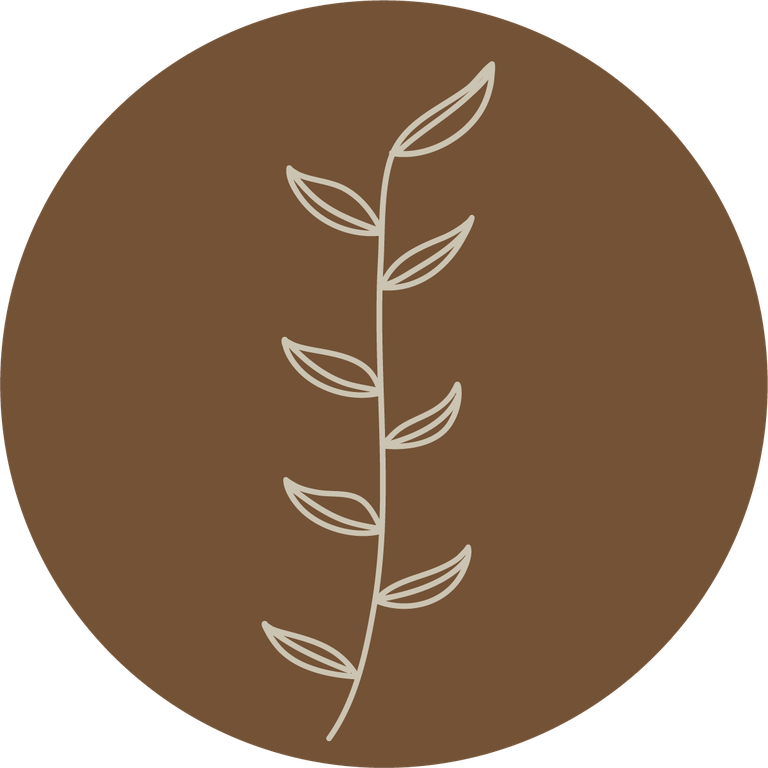 floral icons for social media stories