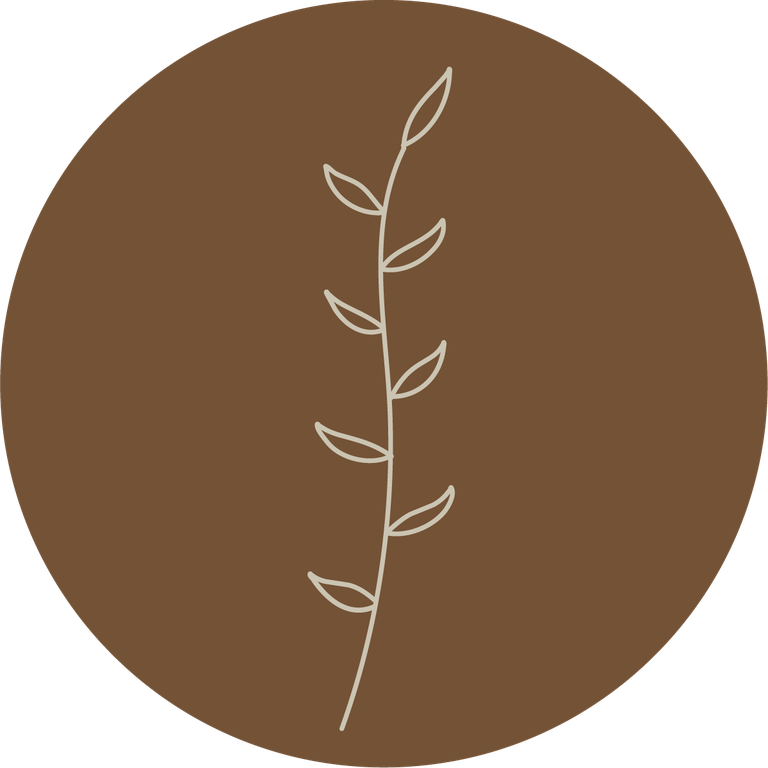 floral icons for social media stories