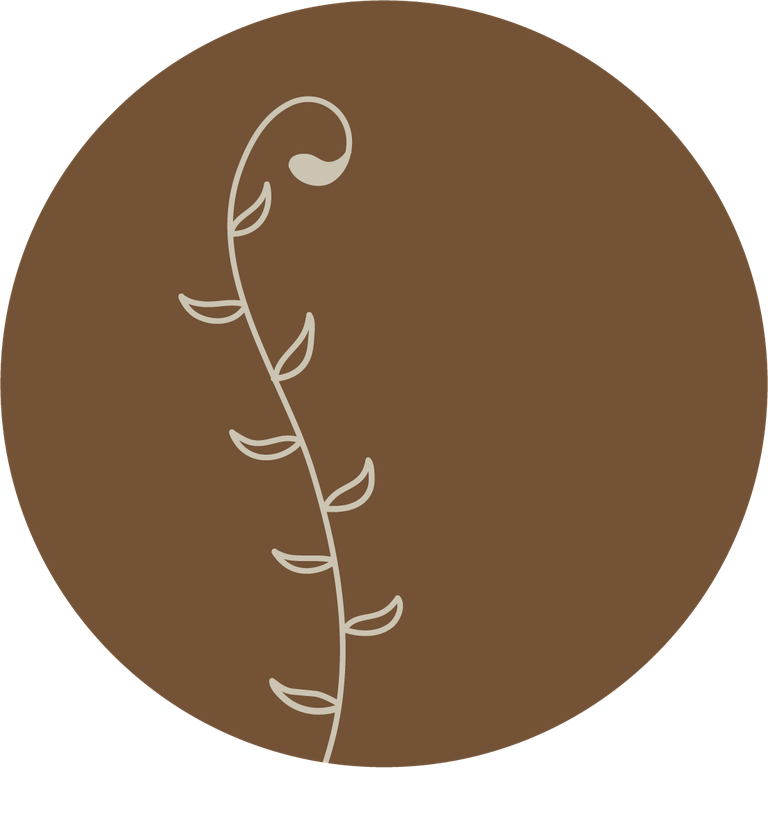 floral icons for social media stories