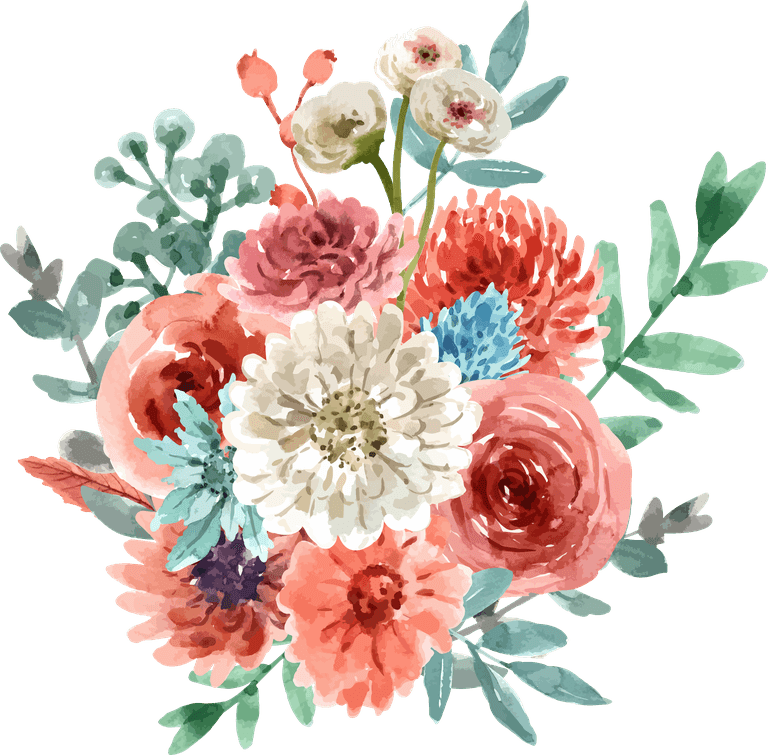 flower bloom flower watercolor pink chrysanthemum white decorative use