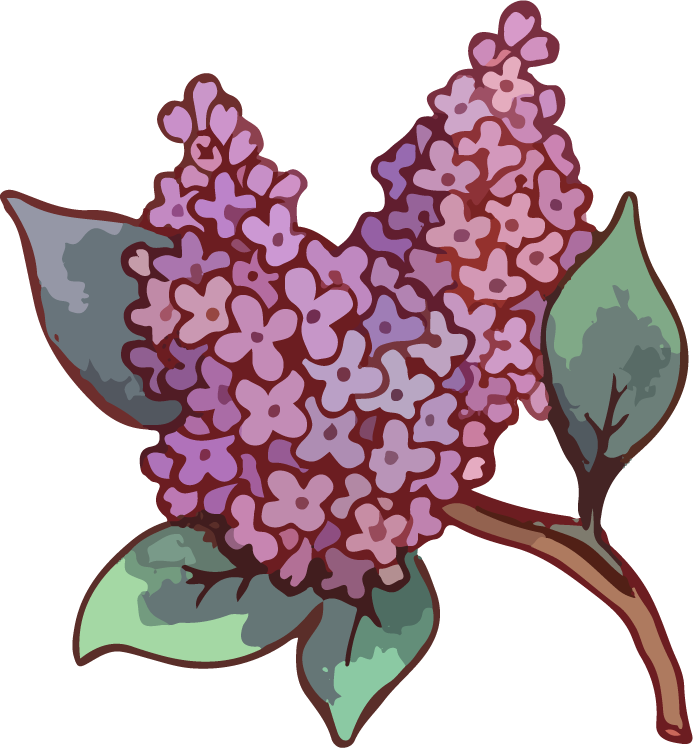 flower colorful watercolor vector illustration for vibrant digital art projects and home decor