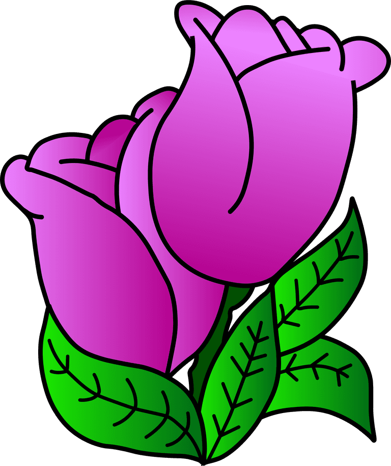 flower tulip pink beautiful vector