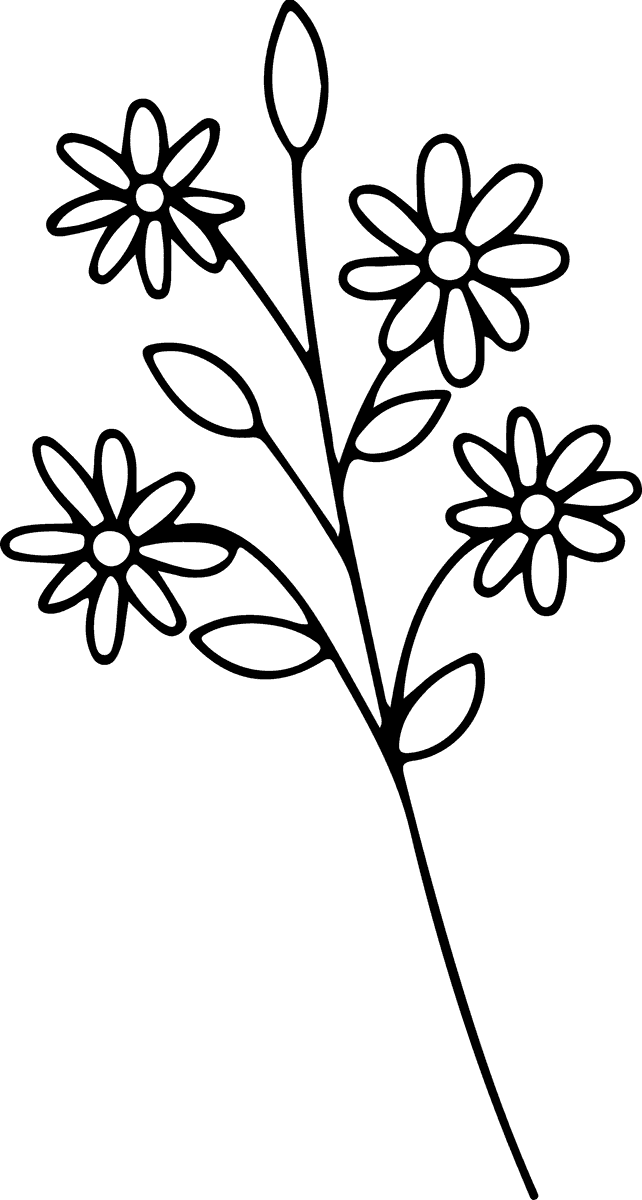 Minimal botanical hand drawing,floral line art design