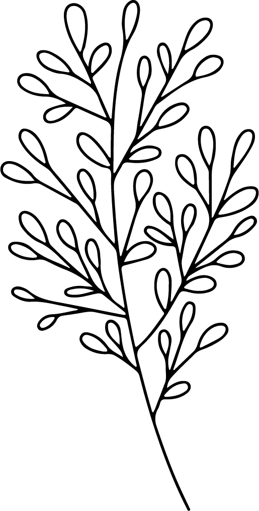 Minimal botanical hand drawing,floral line art design