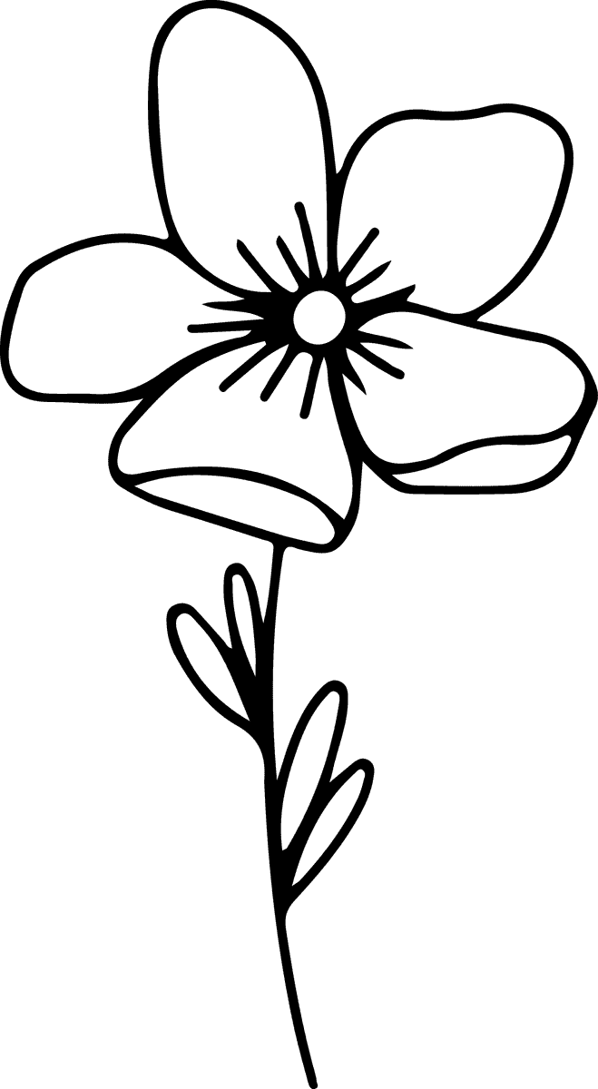 Minimal botanical hand drawing,floral line art design