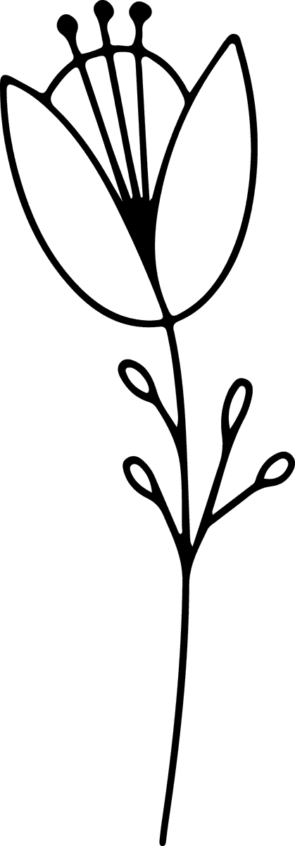 Minimal botanical hand drawing,floral line art design