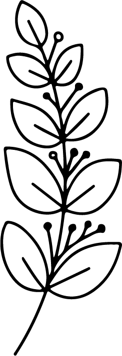 Minimal botanical hand drawing,floral line art design