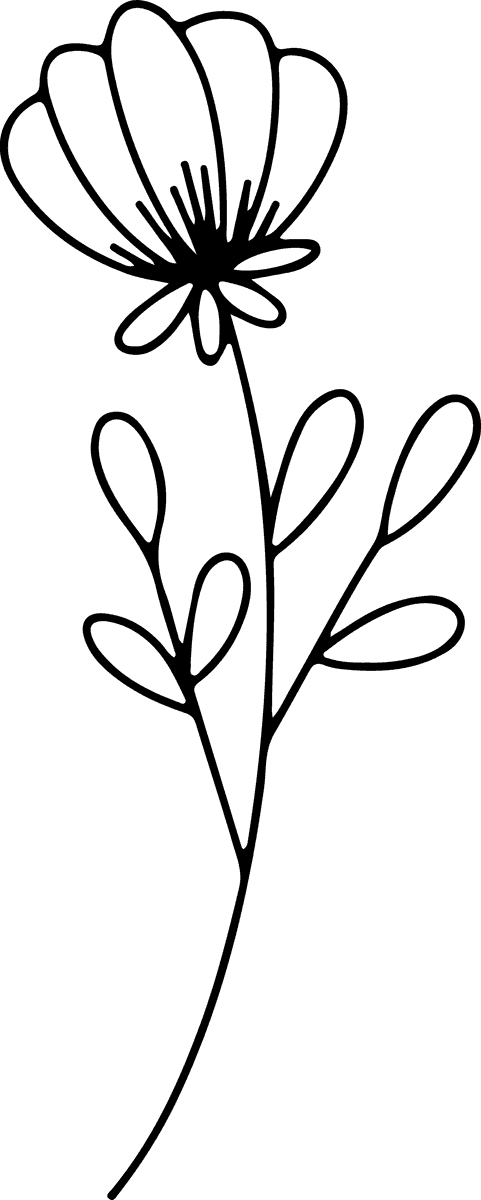 Minimal botanical hand drawing,floral line art design