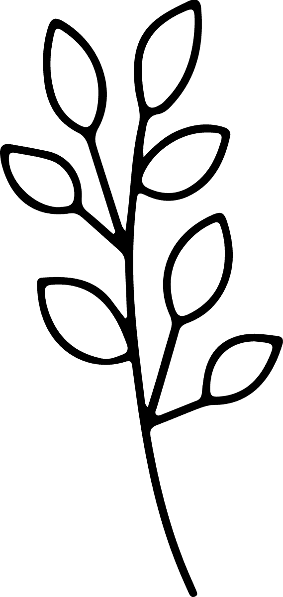 Minimal botanical hand drawing,floral line art design