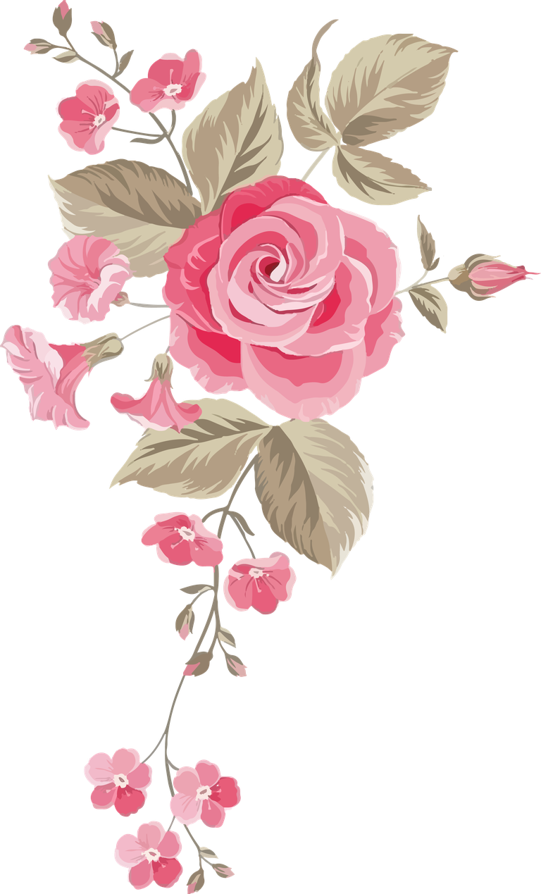 flower color pink botanical artwork for elegant home decor or invitations