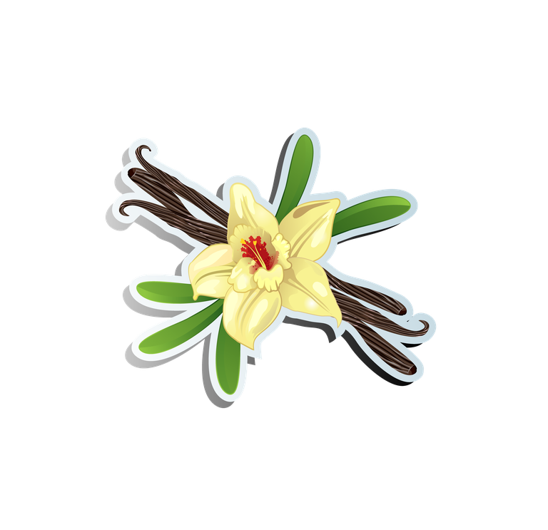 flower set of ice cream creative 