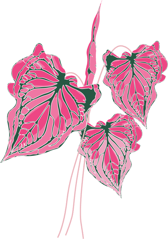 simple pink flowers illustration for modern home decor and digital projects