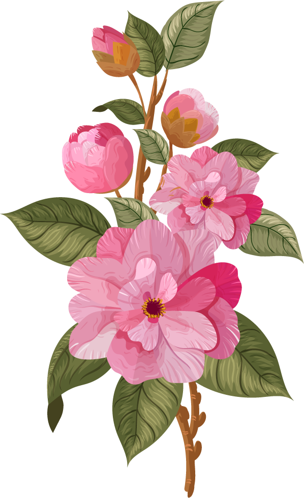 flowers icons colored classical decor for elegant invitations and creative projects