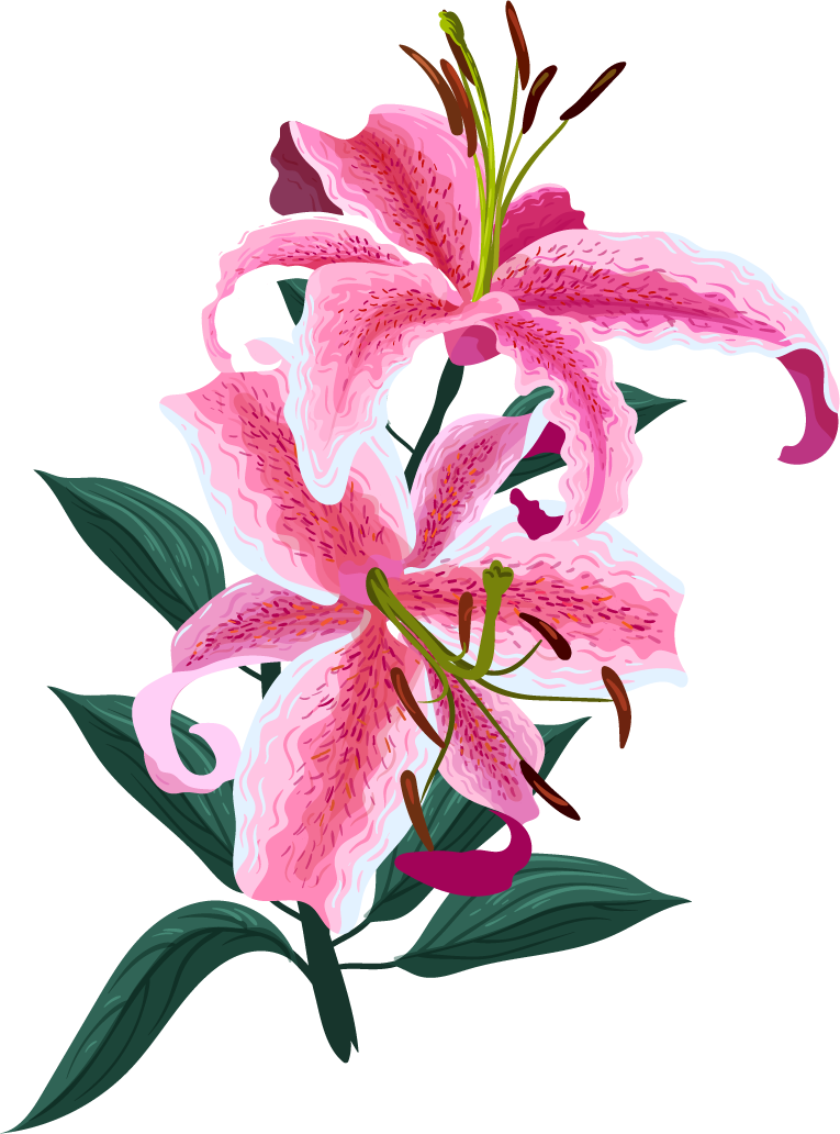 flowers icons colored classical decor for elegant floral arrangements and artistic projects