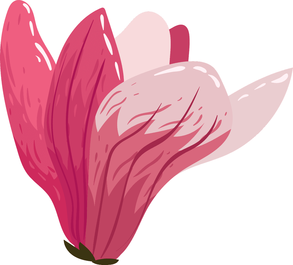 flowers icons colored classical sketch with vibrant colors for creative projects