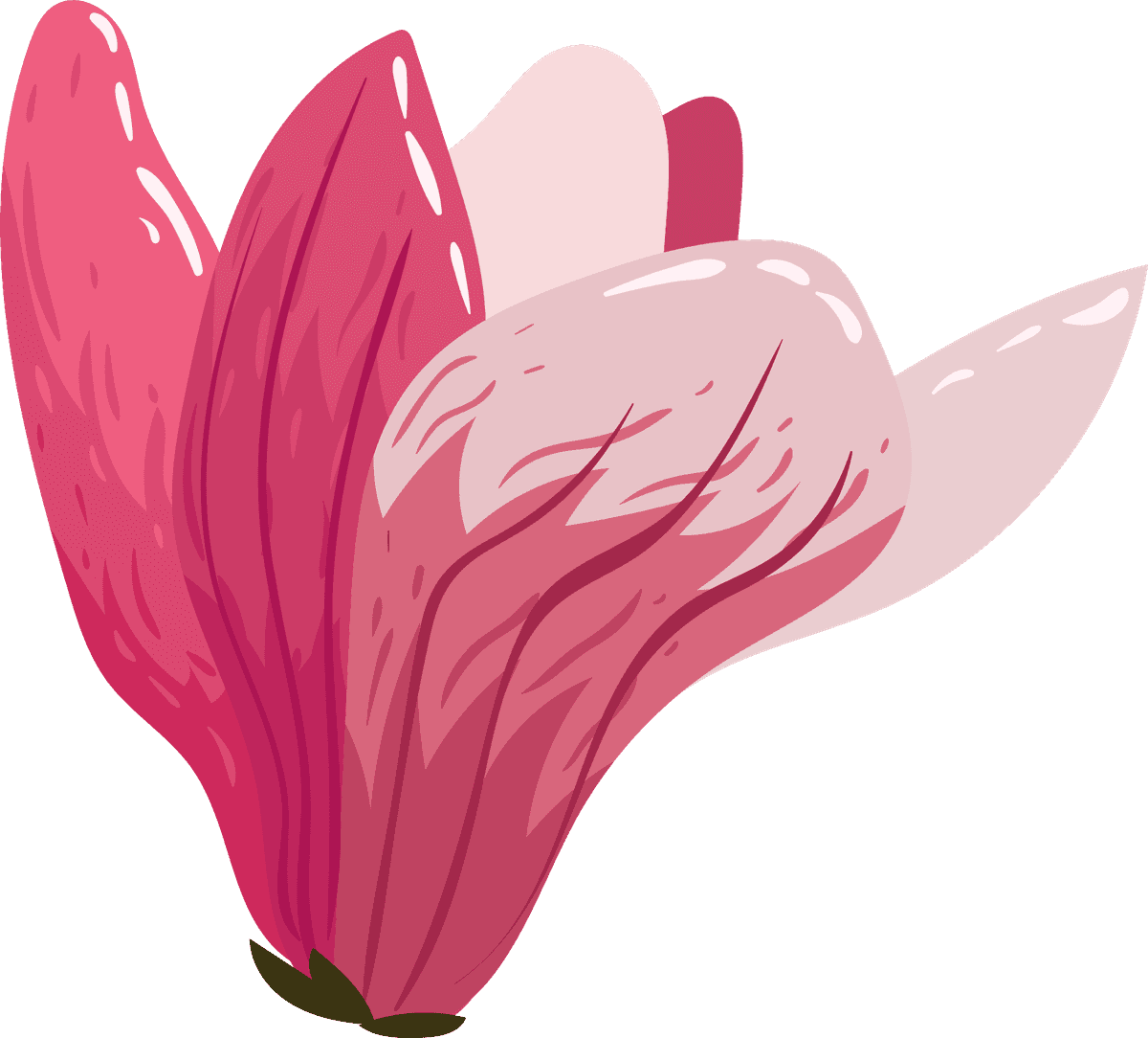 flowers icons colored classical sketch