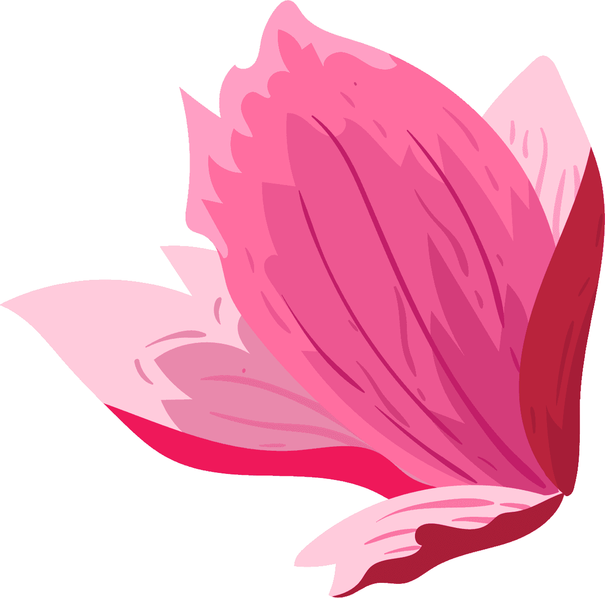 flowers icons colored classical sketch for elegant floral decoration and branding