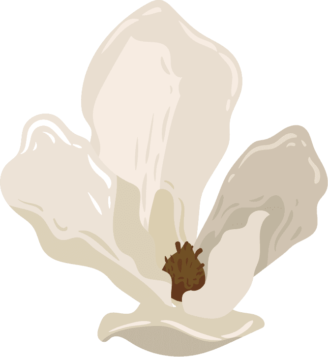 flowers icons colored classical sketch for nature-themed projects and applications