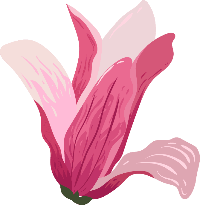 flowers icons colored classical sketch