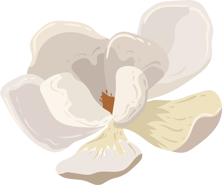flowers icons colored classical sketch for home decor and digital projects