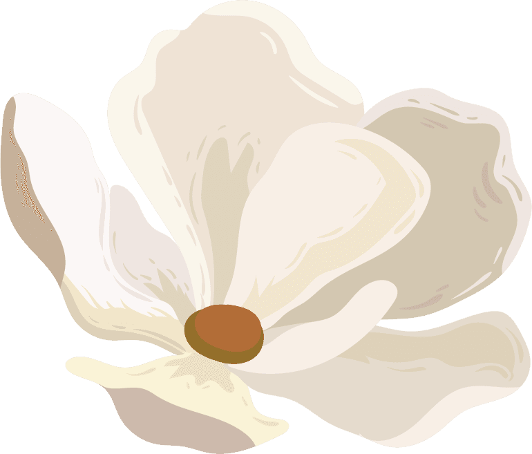 flowers icons colored classical sketch