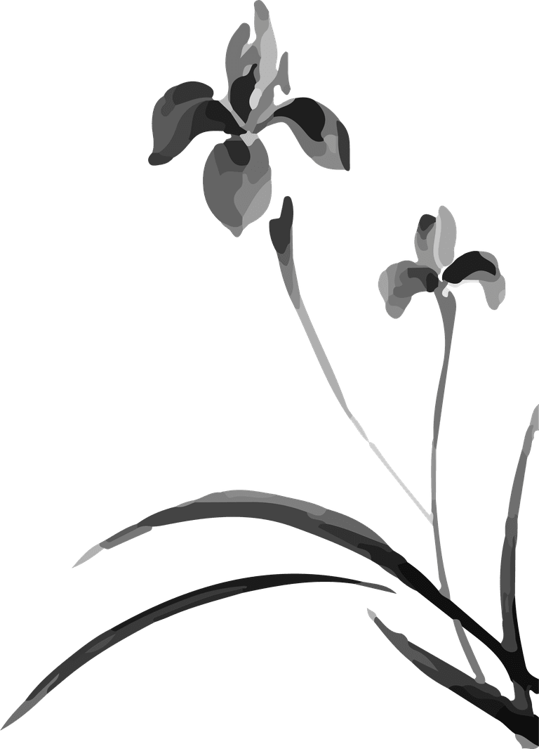 flowers plants bontanical black watercolor cover