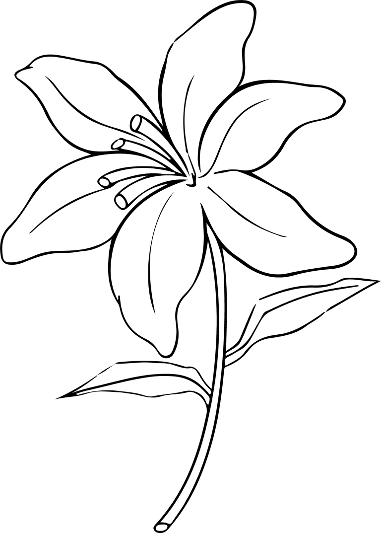 flowers plants bontanical cover