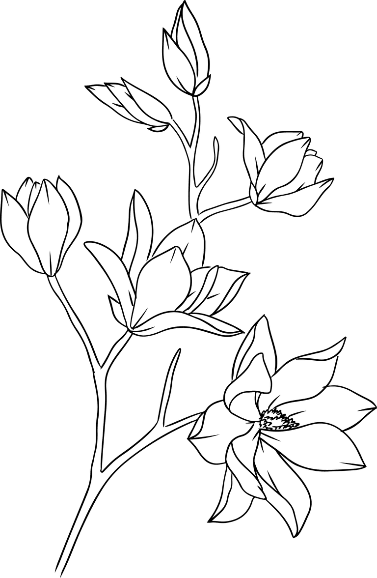 flowers plants bontanical cover