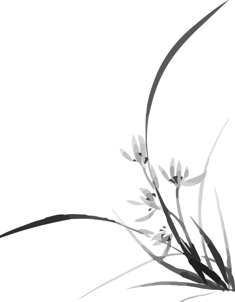 flowers plants botanical cover with elegant monochrome floral accents for stylish backgrounds