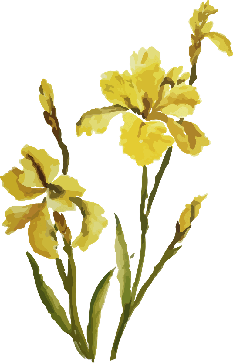 flowers plants bontanical watercolor cover