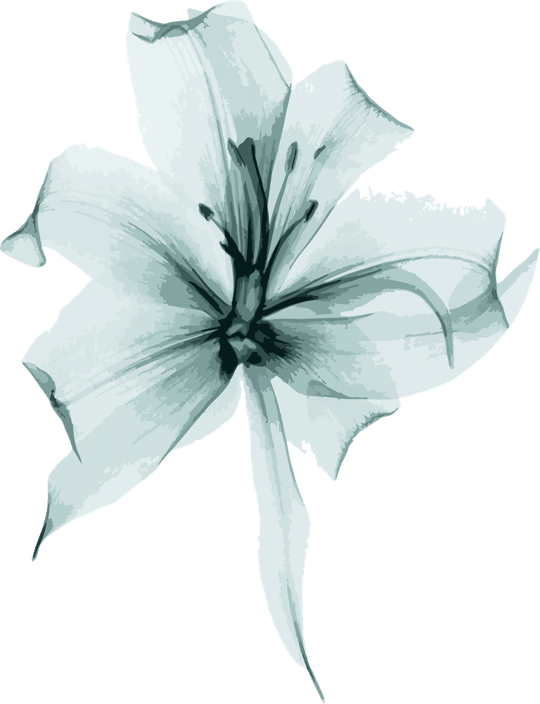 flowers plants bontanical watercolor cover