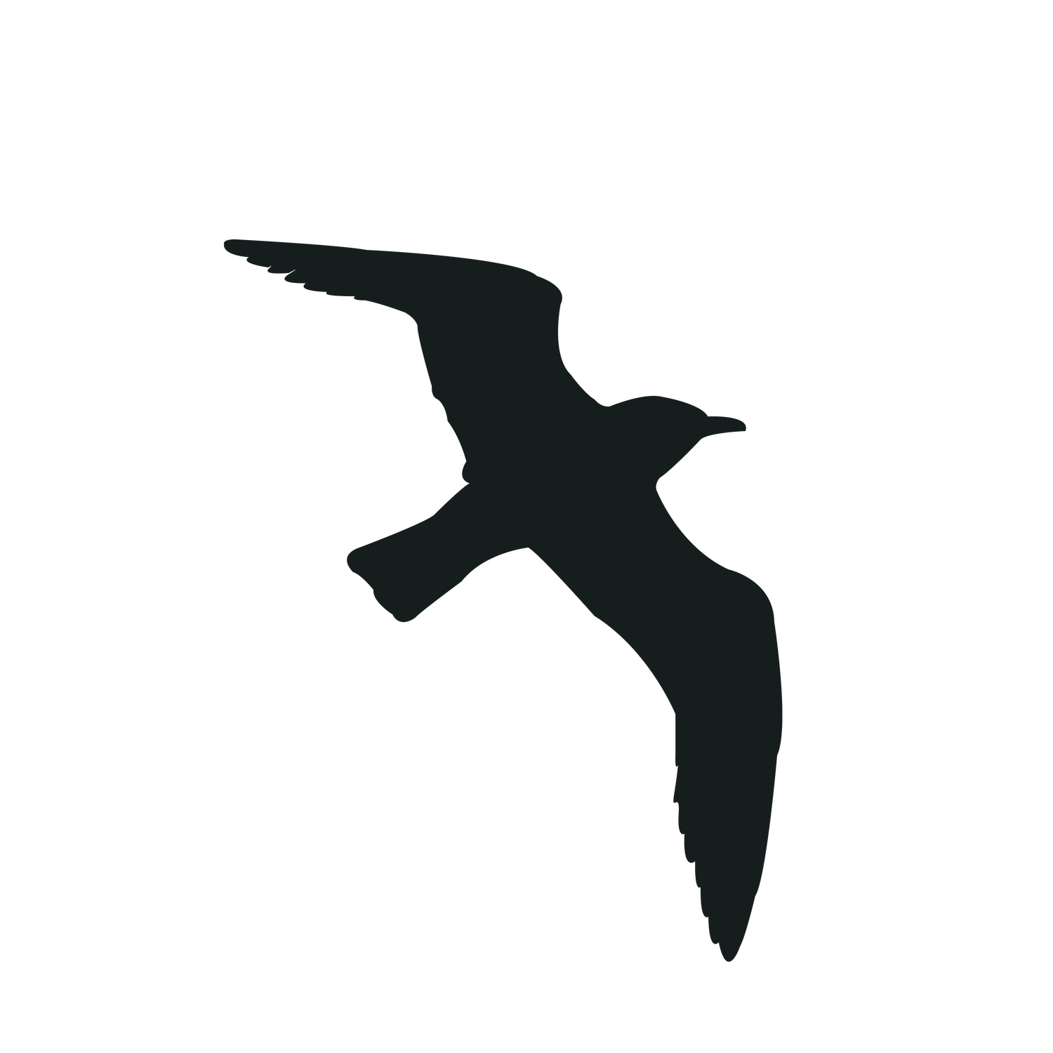 elegant flying bird silhouette black bird perfect for minimalist art and decoration