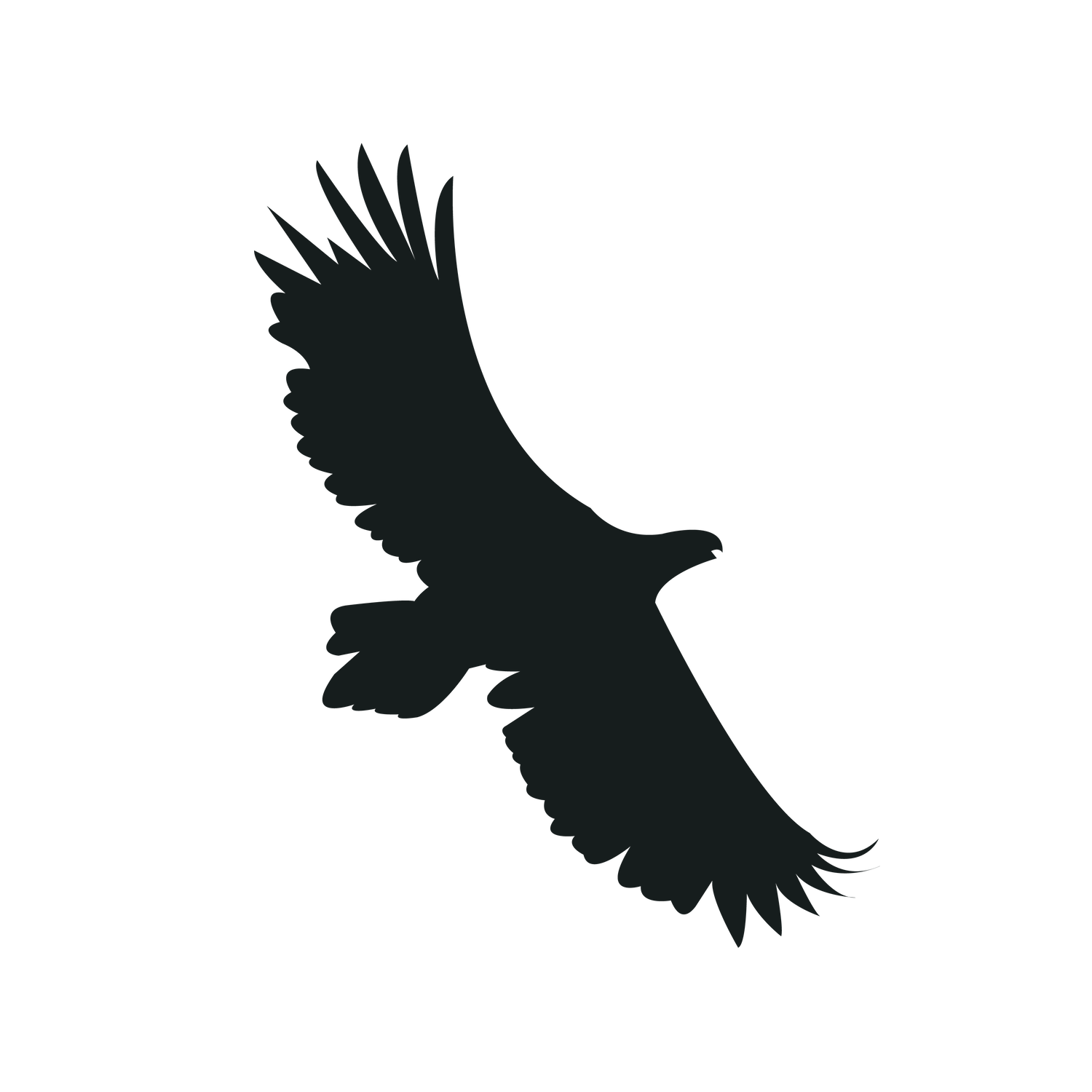 flying bird silhouette black bird for creative projects and inspirational themes