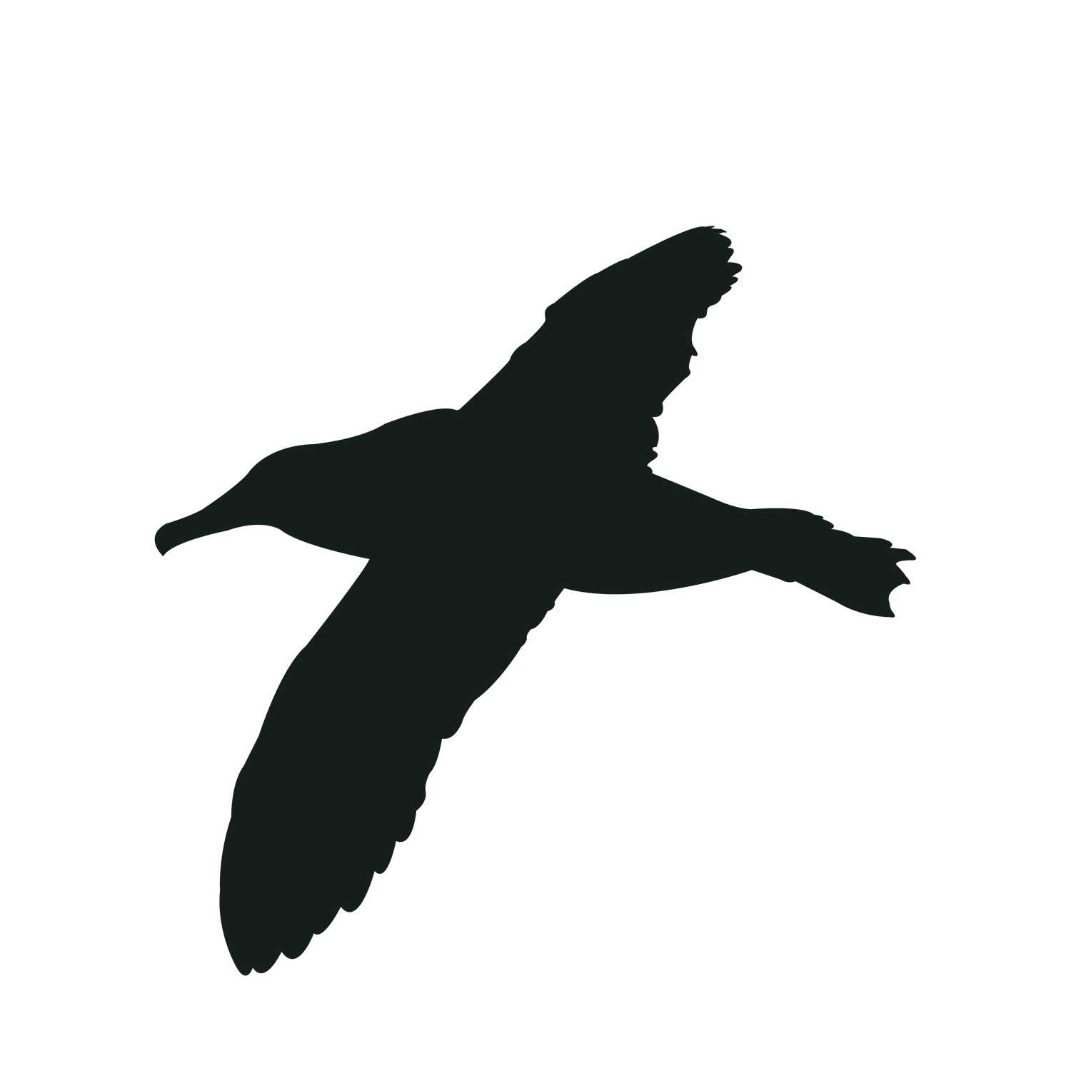 flying bird silhouette black bird suitable for nature-themed projects and creative artwork