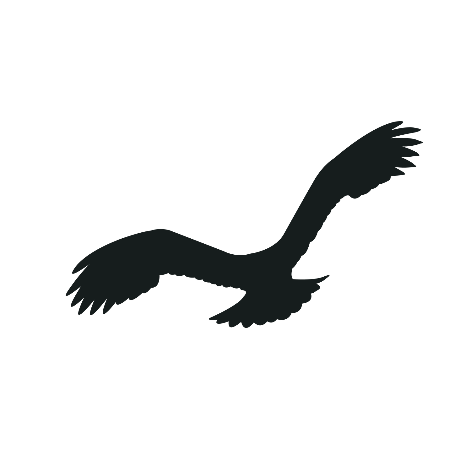 flying bird silhouette black bird for nature lovers and outdoor enthusiasts