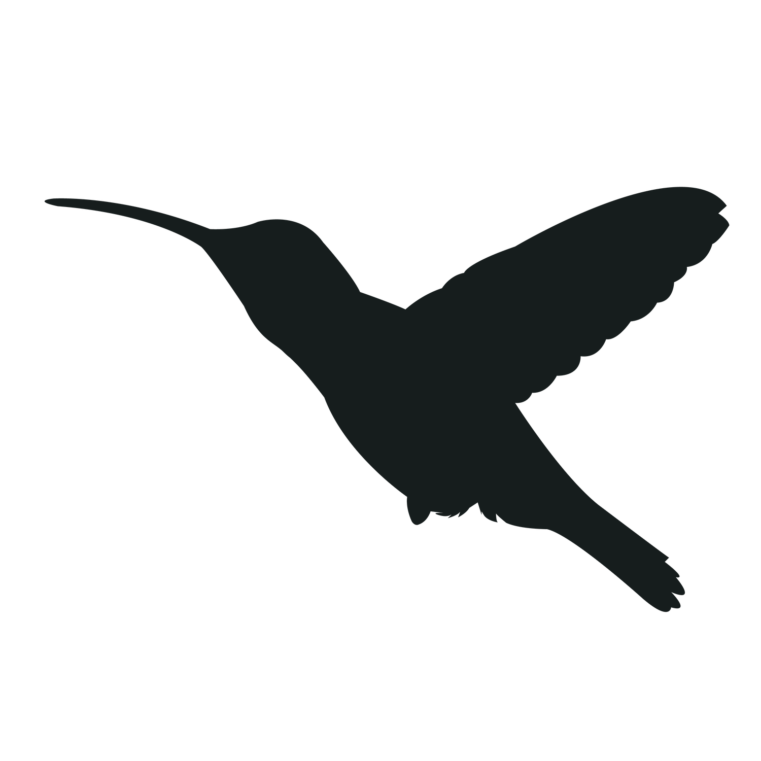 flying bird silhouette black bird for nature-themed projects and wall art