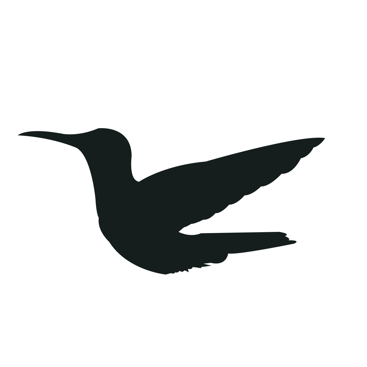 flying bird silhouette black bird with elegant wings for creative projects and nature themes