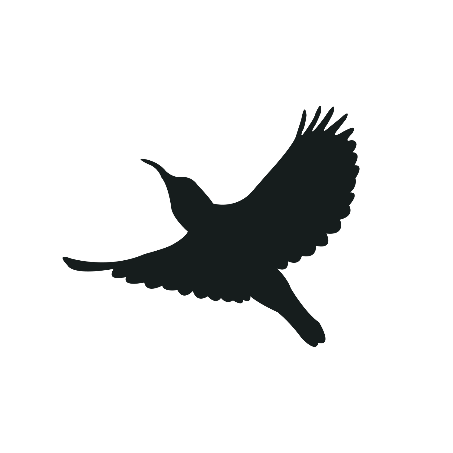flying bird silhouette black bird for elegant branding and nature inspired projects