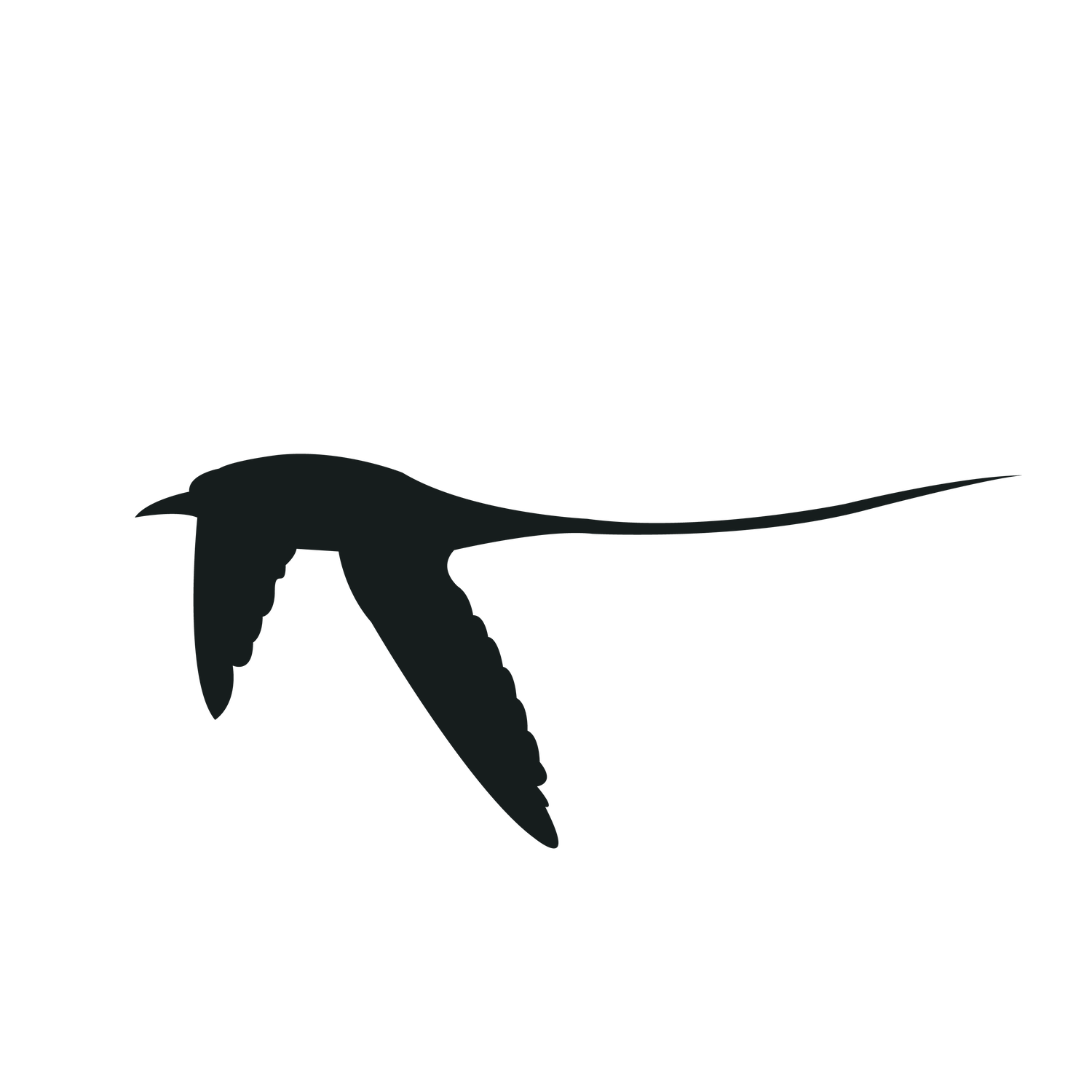 flying bird silhouette black bird perfect for nature-themed projects and backgrounds