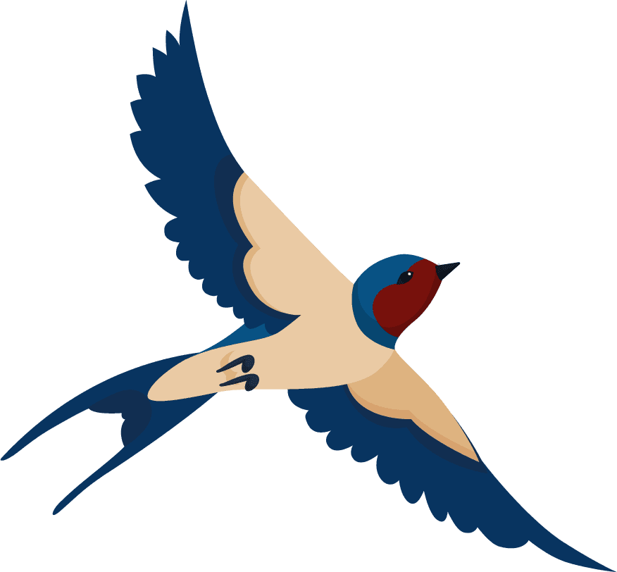 flying bird various view collection set flock swallows isolated white background cartoon illustration