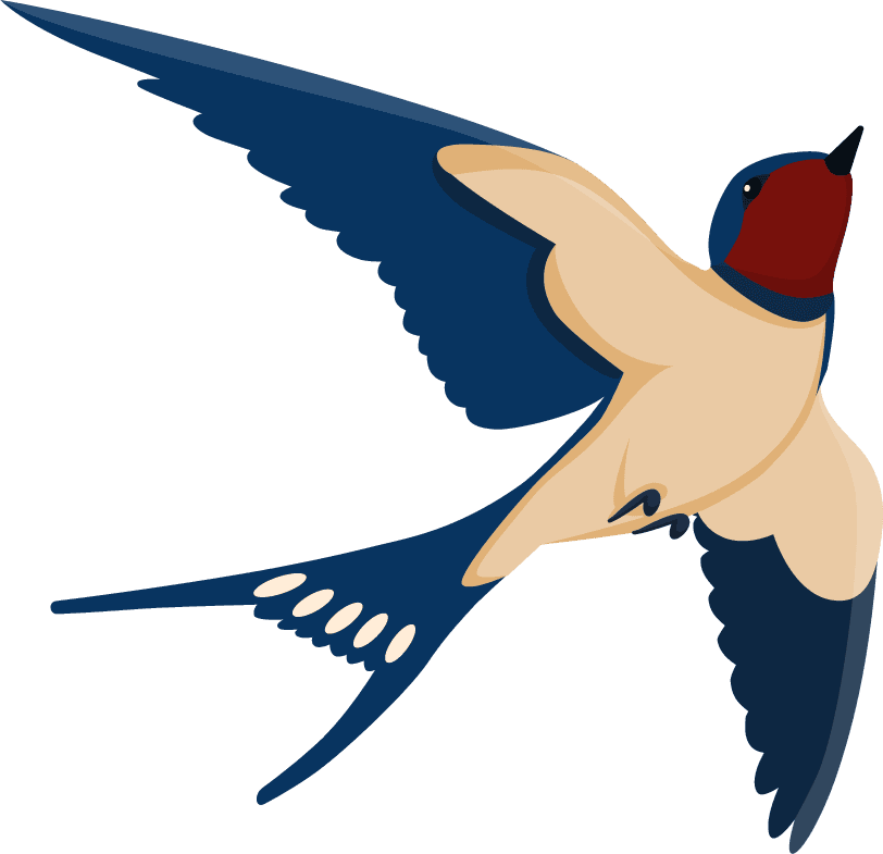 flying bird various view collection set flock swallows isolated white background cartoon illustration