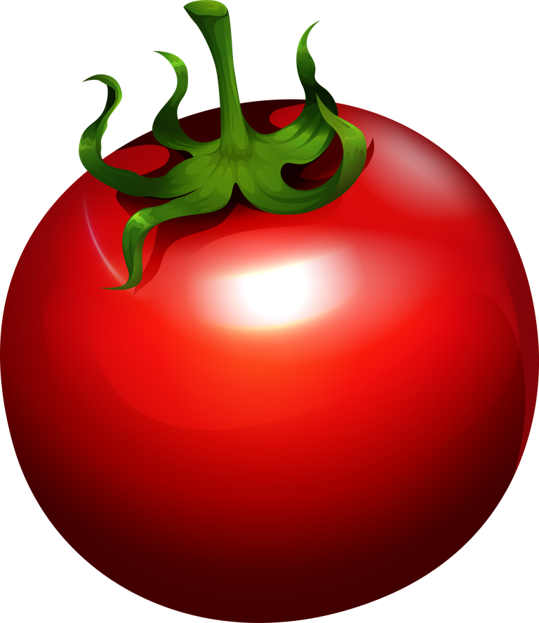 a delicious food illustration of a ripe tomato with vibrant colors and glossy finish