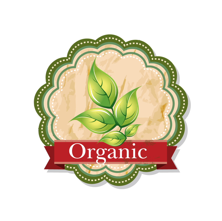 food and drink label collection with organic themes and fresh natural elements for eco-friendly products