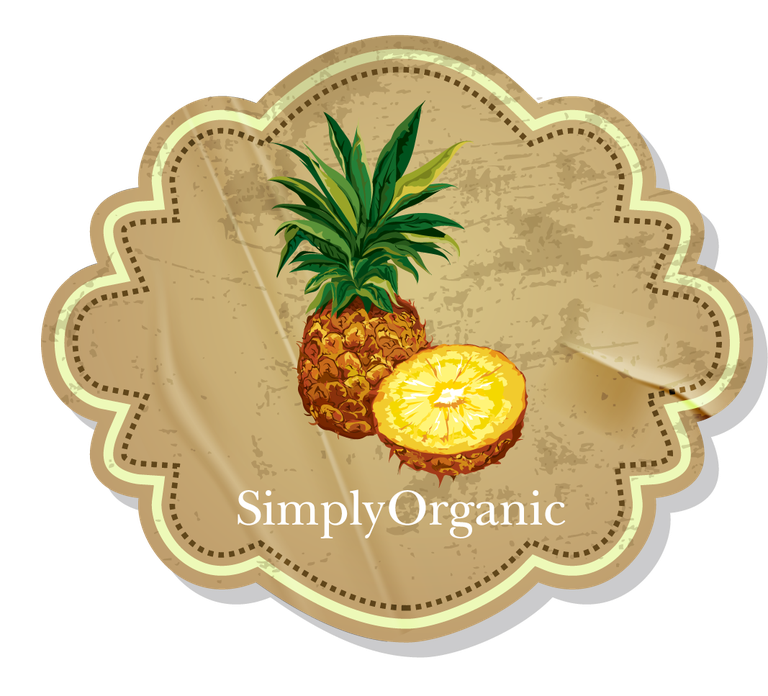 food and drink label collection featuring a vintage pineapple illustration for organic products