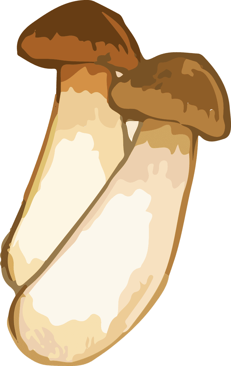 food art drawing watercolor of gourmet mushrooms highlighting organic shapes and textures
