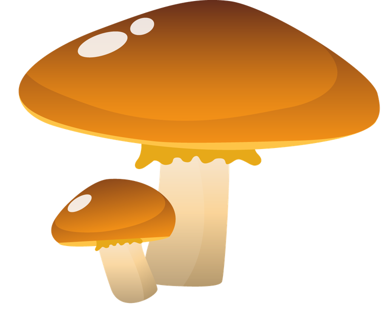 simple mushroom forest illustration