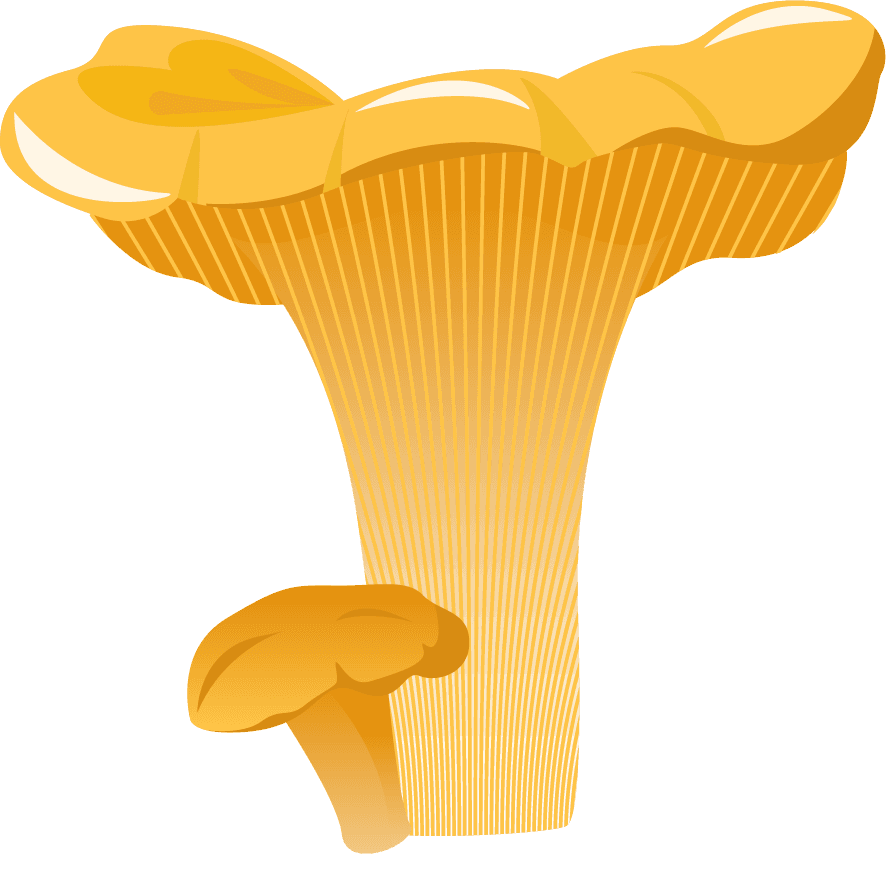 simple mushroom forest illustration