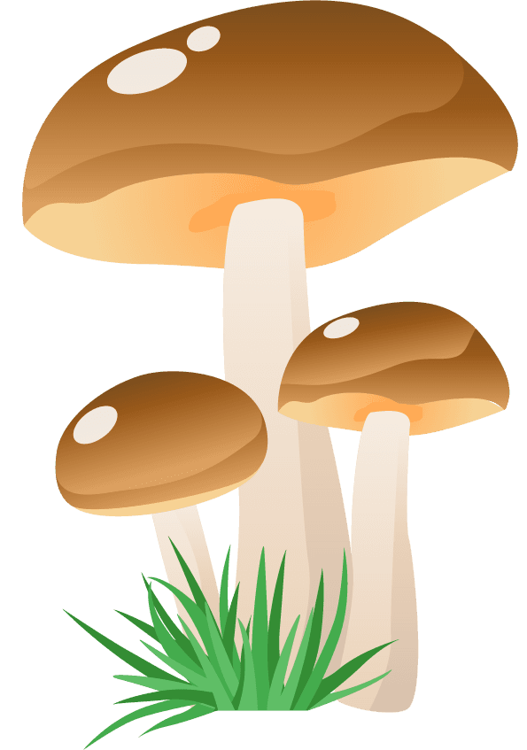 simple mushroom forest illustration with whimsical style and vibrant colors for playful settings