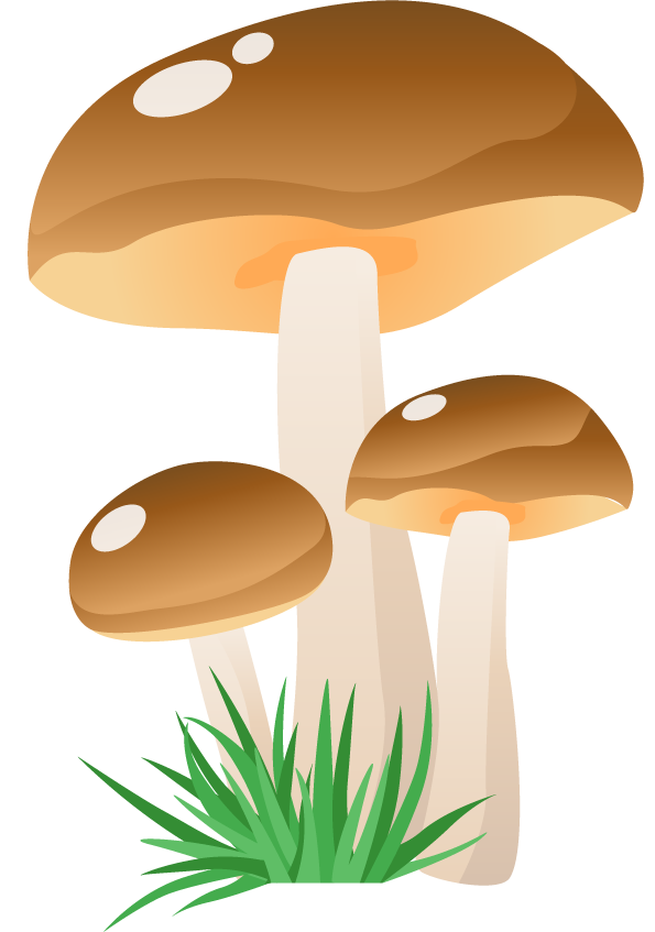 simple mushroom forest illustration with whimsical style and vibrant colors for playful settings